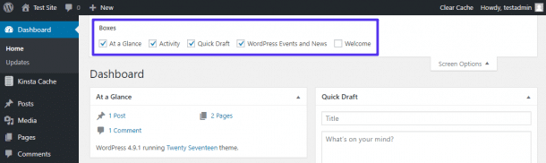 WordPress dashboard, with the options bar open