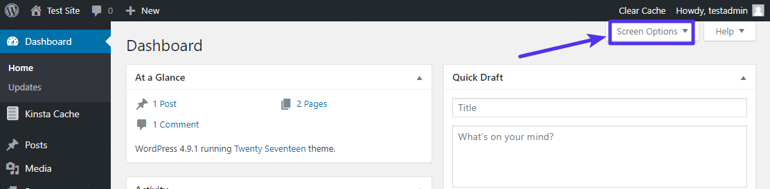 WordPress dashboard, with the options bar open
